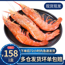 Fresh frozen Argentine red shrimp sea shrimp seafood aquatic fresh frozen super large sea shrimp 4 catty box