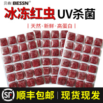 Red worm frozen beef heart burger Daphnia plentiful shrimp Red red worm Arhat fish food Colorful angelfish food Fish feed