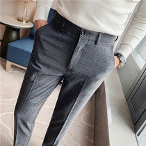 Western pants mens 2021 new Korean version trendy with small feet plaid western-style pants business casual mens suit long pants
