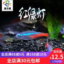 Light fish fish live traffic lights live traffic lights live traffic lights live traffic lights live traffic lights fish live