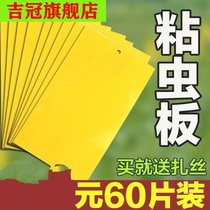 Fruit fly lure board fruit fly glue board needle Orchard fly insect stick insect board fly fly fly fly