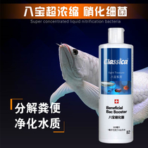 Qianhu Kasjia Babao Nitrification Bacteria Water Quality Stabilizer Ornamental Fish Water Quality Treatment Agent Black Water Vitamin