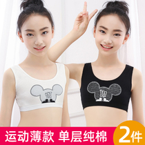 Girls  development small vest Small girl 9-13 years old children primary school students childrens bra growth underwear thin section