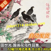 Chinese painting high-definition pictures Tian Shiguangs works painting collection 72 full set of ink flowers and birds design materials decoration copy spray painting