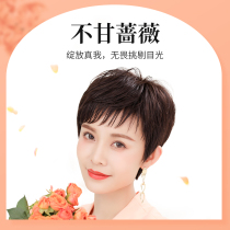 Wig female full head cover real hair short hair middle and old style real hair cover white hair head wig set temperament age reduction