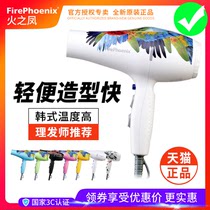 Fire Phoenix Hair Dryer 5600A Hairdrester Special High Power Professional Hair Salon Hair Care Home Hot And Cold
