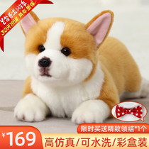 Comet Emulation Pooch Doll Boy Kokie Puppy Paparazzi Wool Suede Toy Doll Girl Companion Gift