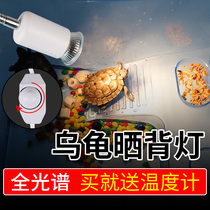 Turtle sunlight uvb lamp heating heat preservation lamp sun lamp climbing pet lizard lamp light calcium supplement three-in-one uva heating lamp