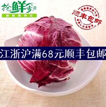 Fresh salad vegetables Ground ball lettuce Purple borage red chicory Red leaf cabbage 500g Jiangsu Zhejiang and Shanghai 5 pieces