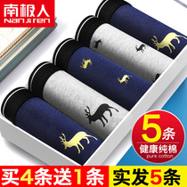 South Pole mens pants flat angle pants pure cotton quality trendsetting Four Corners Cute Shorts Head Loose Breathable New Frontier Cotton