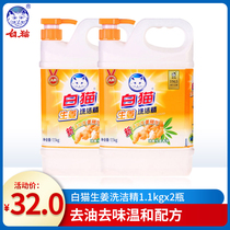 White cat Ginger detergent to oil and taste mild Formula 1 1Kg * 2 bottles of dishwashing detergent cleaning