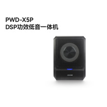 Alpai PWD-X5P intelligent power amplifier DSP all-in-one machine ultra-thin seat Active Subwoofer car audio modification