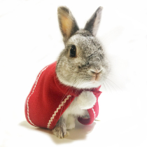 Festive Cape Small Cloak Red Rabbit Clothes Kitty Clothes Dogs Princess Clothes Q21 Ornaments