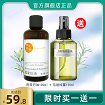 Jojoba oil flagship to blackhead acne shrinkage pores Li Jiaqi recommends horse fans pure Dew jojoba oil