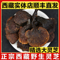 Tibet Nyingchi wild Ganoderma lucidum Red Ganoderma lucidum dry goods 500g black Ganoderma lucidum large Ganoderma lucidum one pound gift box