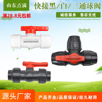 Quick connection double live ball valve Quick external connection universal joint PVC PE PPR pipe live switch valve joint