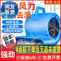 Hair Dryer Ground Blow Ground Blower Small Commercial Home Floor Blow-drying Machine Carpet Muted Dehumidification Public H Co Hygiene