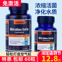  Nitrifying bacteria capsules for fish tanks Digestive bacteria Aquariums Nitrifying bacteria Water quality water purification stabilizer Live bacteria dry powder