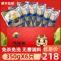 Fujian Ningde Sandugang Fragrant Fried Rhubarb Flowers Fish Mellow Yellow Fish Stocks Fresh Frozen Fresh Seafood Great Gift Boxes