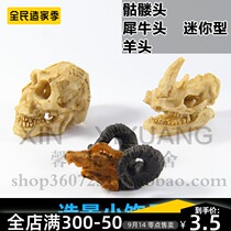 Reptile box landscaping skull rhinoceros head goat head turtle box decoration simulation landscaping climbing box NS90