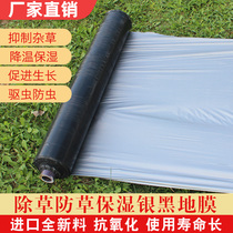 Agricultural planting silver black film reflective two-color plastic film fruit tree orchard insulation moisturizing warming weeding thickening