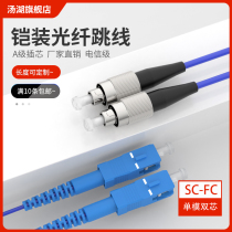 Tanghu 3 m SC-FC anti-rat armored optical fiber jumper single-mode double core pigtail custom length connector telecom grade (single-mode double core)