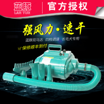 Blue dolphin pet water blower Dual motor cat and dog fan High-power silent large dog hair pulling machine