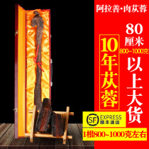 Alxa oil cistanche whole Inner Mongolia special grade 1000g sliced Suoyang leek seed silk seeds
