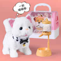 Kids Toy Kitten Simulation Will Call Will Go Electric Boy Girl Cat Cat Stuffed Cat 0 Baby 1 Baby Old