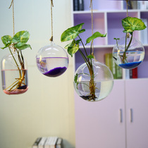 Creative hanging fish tank Transparent glass hydroponic hanging bottle vase Bedroom living room wall decoration crafts