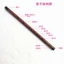 Students Tie line flute Flute F G tune flute section Horizontal flute Bamboo flute Musical instrument Beginner introduction