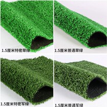 Living room leather green space ground glue Ping indoor Ping football field background wall simulation lawn Ping carpet Wall home