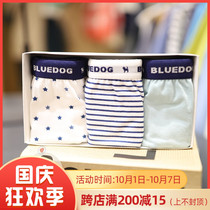 Direct Mail BLUEDOG South Korea Blue Dog Big Boy 2021 New Boys Brit 3 Bar 510-02