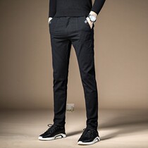 Bewitching bird official flagship mens pants trend fashion small pants business straight casual pants CRK6074-HY70