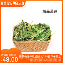 Boutique European Chicory Golden Grass Chinchilla Rabbit Guinea Pig Fat Gaining Conditioning Stomach Milk Treating Soft Stool