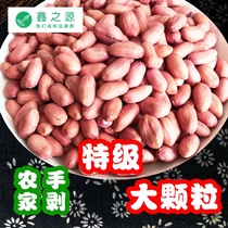 2020 newborn peanuts large particles Luhua Baisha super large high quality Shandong farm 5kg vacuum