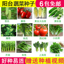 Tomato Tomato tomato seed Balcony Seed Rape Strawberry Seed All Season Vegetable Seed Vegetable Garden small cabbage Chicken Fur Rapeseed