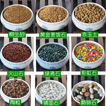 Fleshy granular soil fleshy soil nutrient soil paving stone Jade Earth diatom green zeolite volcanic stone golden wheat rice