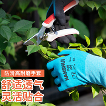 Anti-tie anti-season thorn protective gloves Gardening floral planting flower seed flower gloves Garden grass labor breathable wear-resistant