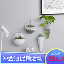 Hydroponic wall-mounted flowerpot wall hanging vase lazy plastic wall hanging flower pot