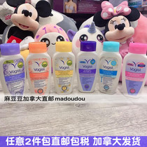 Canada Vagisil Womens Private Care Lotion Dancing PH Balanced Vaginal Washing and Antipruritic Sterilization 240ml