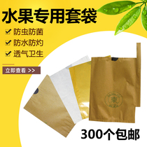 Loquat bagging special bagging high-grade fruit bag paper bag waterproof bagging fruit bagging bird-proof loquat bag