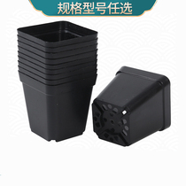 Multi-meat flowerpots Sedum Small Square Basin Single Head Old Pile Small Group Sedum Pelvis Multimeat Small Square Basin Plastic Small Black Square Thickened