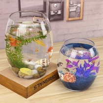 Lazy transparent water plant tank Small and medium-sized water tank Mini ultra-white fish tank Household aquarium Ultra-white glass fish farming basin