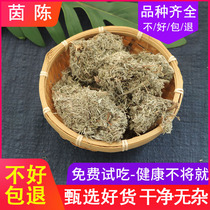 (Zhen Shanyuan) Yinchen Mianyin Chen White Artemisia 500 grams of Chinese herbal medicine free of mail