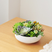 Simulation multi-meat combination potted natural style fake plant table pendulum ornament ceramic pot set art283