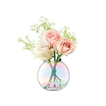 Pearl Rainbow Glass Vase British LSA Import Handmade Round Transparent Gradient Flowers Flower Arrangement