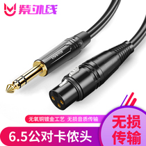 Double Carnon audio cable 6 5 turn Cannon male and female Kanon balance audio 6 35mm microphone microphone wire