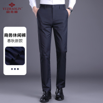 Spring and autumn new business casual mid-waist slim trousers mens casual pants youth mens pants iron-free straight trousers