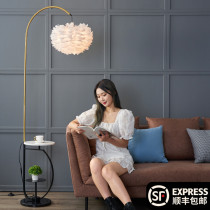 Nordic wireless charging floor lamp living room Net red bedroom light luxury creative coffee table feather fishing floor table lamp